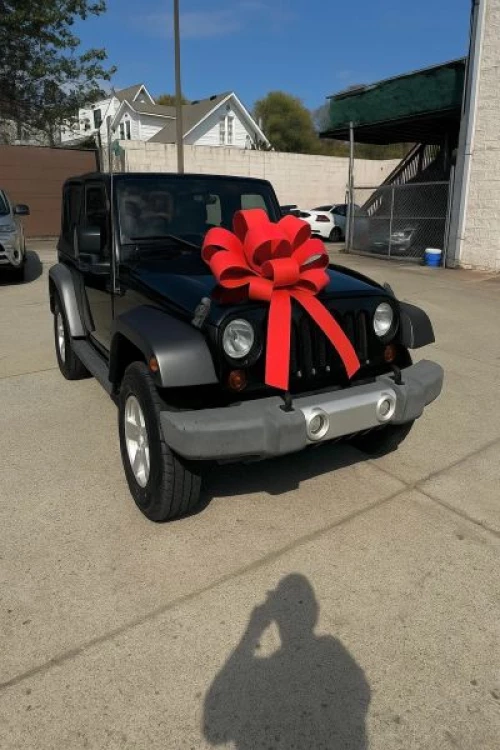 2010 Jeep Wrangler Sahara's photo