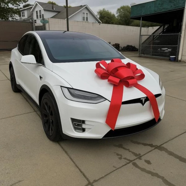 2016 Tesla Model X P90D's photo