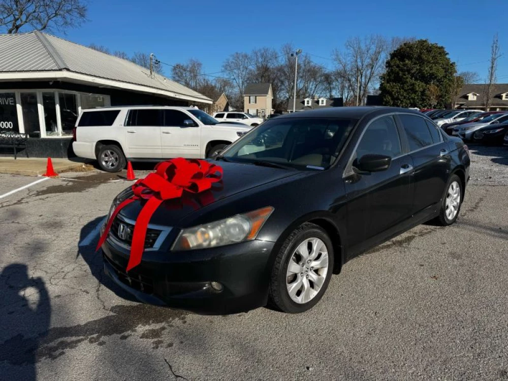 2008 Honda Accord EX-L V6's photo