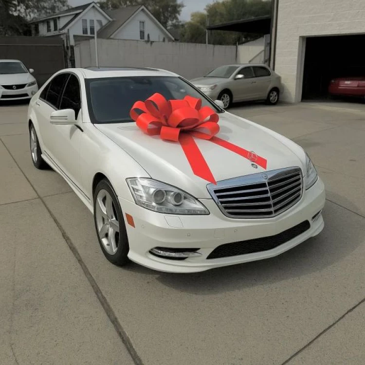 2010 Mercedes-Benz S-Class S550